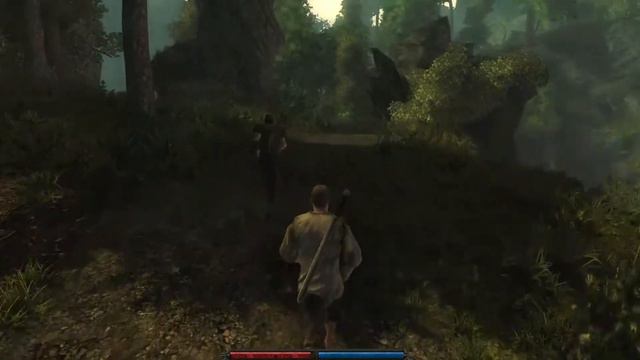 Let`s play Risen. Серия #2. Топаем в лагерь разбойников. смотреть онлайн