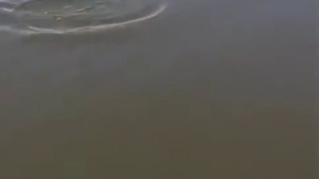 Диалоги о рыбалке. Константин Кузьмин. Жерех. Часть 1 смотреть онлайн