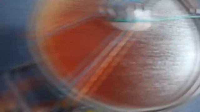 ПРОСТЫЕ ЛАЙФХАКИ ДЛЯ ДОМА И КУХНИ смотреть онлайн