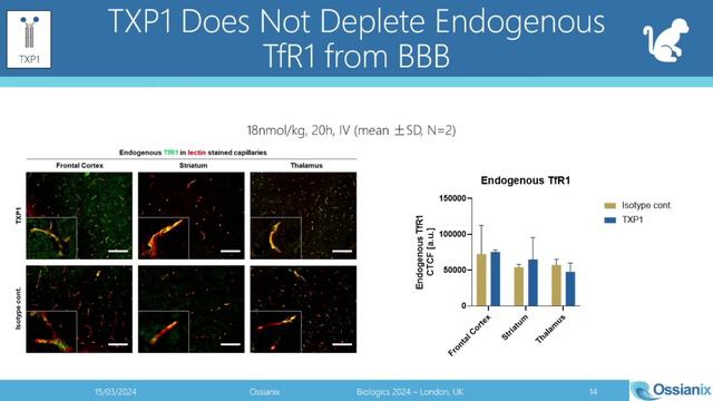 Advancing Brain Shuttle-Enabled Therapeutics for Efficient Delivery to CNS смотреть онлайн