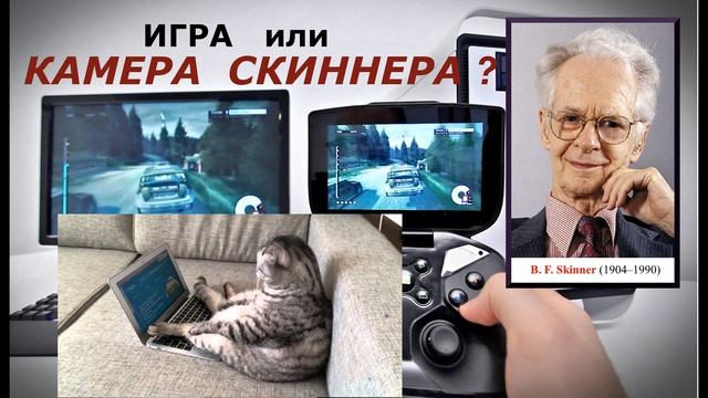 Любимая компьютерная игра или Камера Скиннера? смотреть онлайн