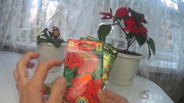 ЧТО ПОСЕЯТЬ В ЯНВАРЕ//Семена цветов