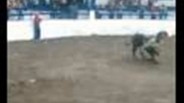 El Corrido De Los Bandidos De San Vicente.wmv смотреть онлайн