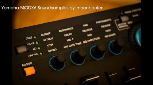 Yamaha MODX 6 Soundsamples no talking