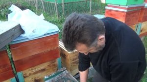 ИСТОРИЯ ОДНОЙ ЛОВУШКИ