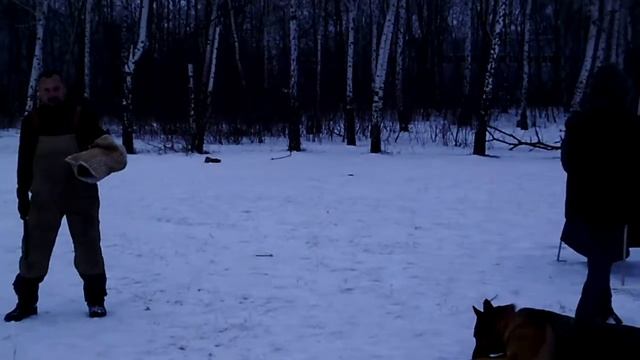 Желя.ipo-тренинг(17,02,18) смотреть онлайн