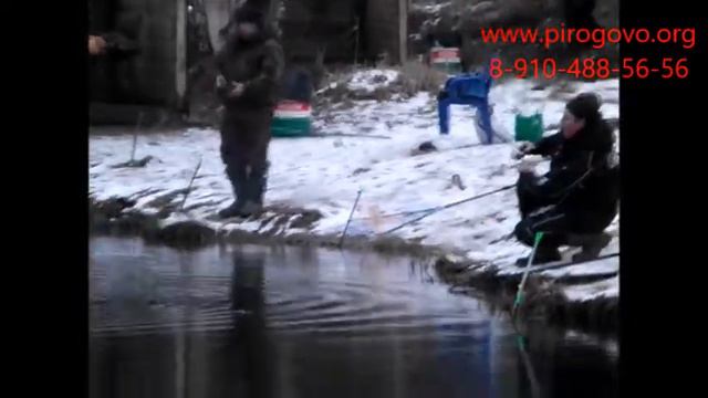 Платная рыбалка смотреть онлайн