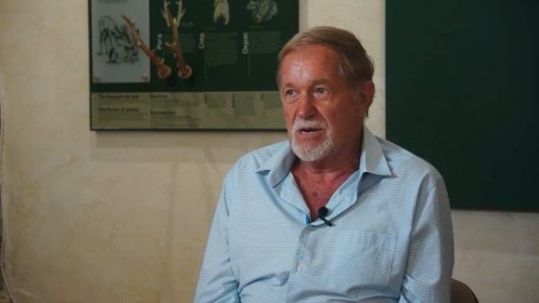 Научные наблюдения за волками