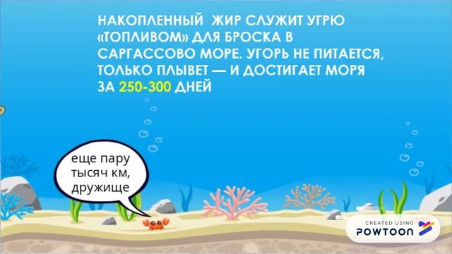 Угорь европейский____ смотреть онлайн