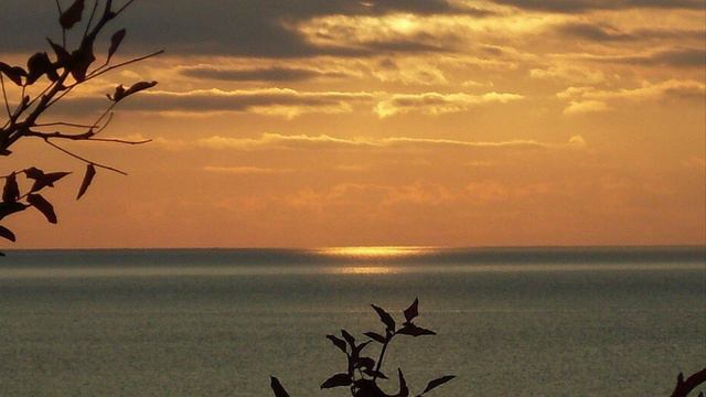 765. ♫. Людмила Зыкина - "3асиделась одна" смотреть онлайн