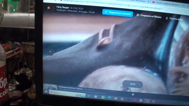 Ответы на вопросы ну и так о дешевых предметах Марколини который я готов покупать по 25 тысяч рубле