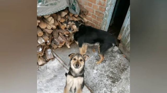 Право на життя м.Лубни смотреть онлайн
