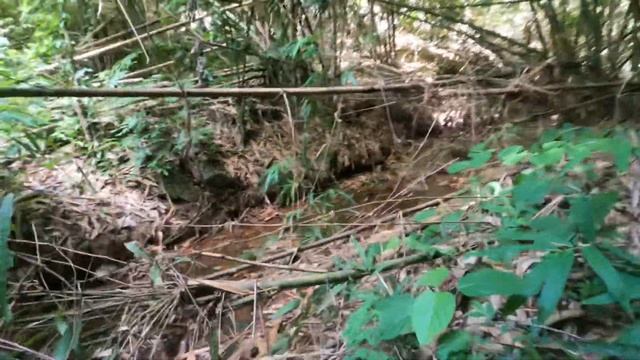 ไปไหนไปนั้นที่อยากจะไป 3 смотреть онлайн