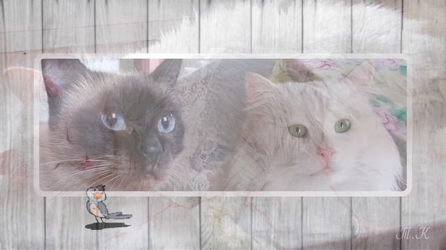 Кому у меня жить хорошо... смотреть онлайн