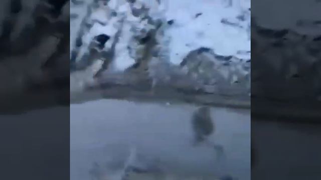 Украина.Россия.Война!Русские дебилы!!! смотреть онлайн