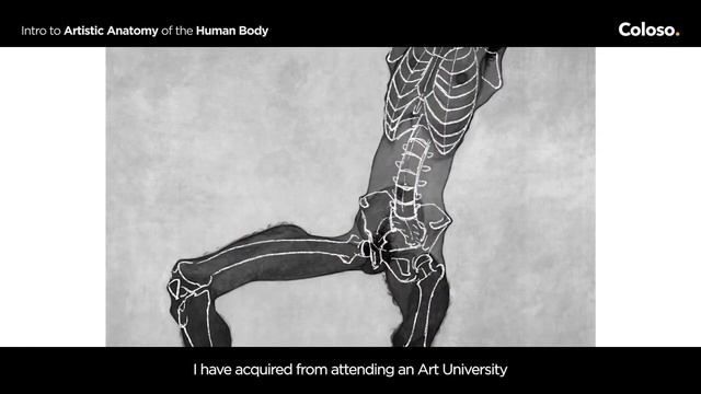 Anatomy Artist - Kota Kato смотреть онлайн