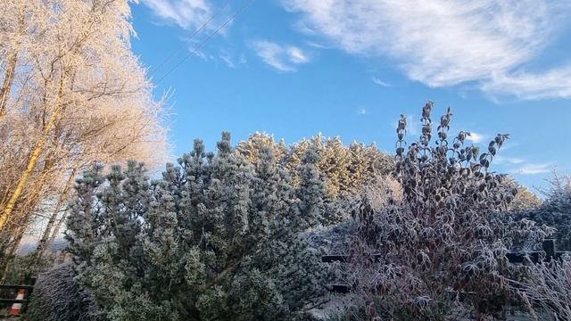 Молитва святой мученице Татиане смотреть онлайн