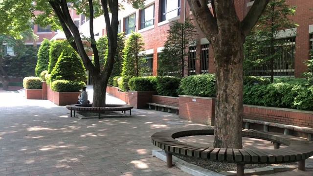 ВЛОГ Университет в Южной Корее 계명대학교! Keimyung Uni Дорама «Цветочки после ягодок» место съёмки дора смотреть онлайн