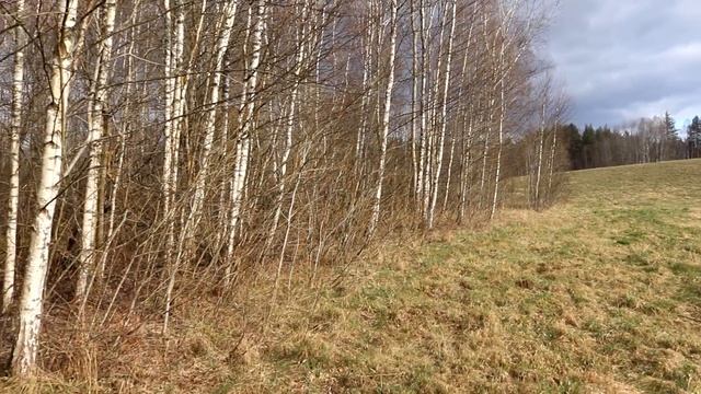 Пасхальное настроение смотреть онлайн