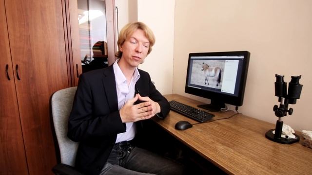 Лошадь Пржевальского - дикая или нет? #DARWINews 8.4 смотреть онлайн