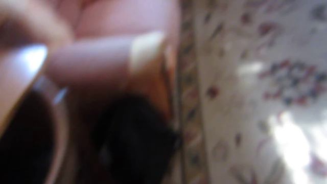 Обзор на корм Жорка!!!