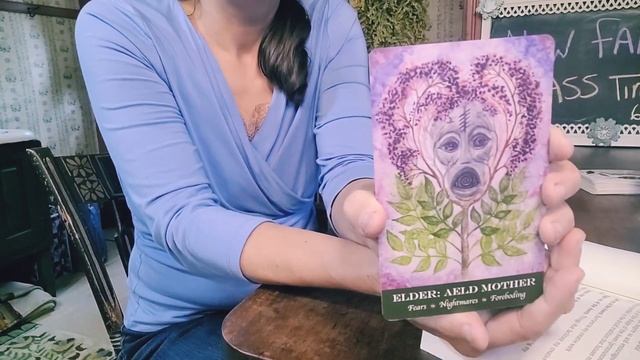 Plant Spirit Herb Identification Cards, Druid's Garden, Dana O'Driscoll Beautiful Artwork смотреть онлайн