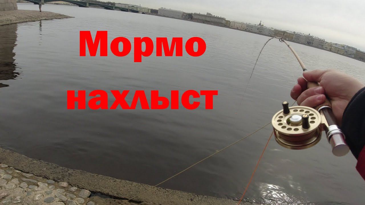 #322 Мормо нахлыст 2