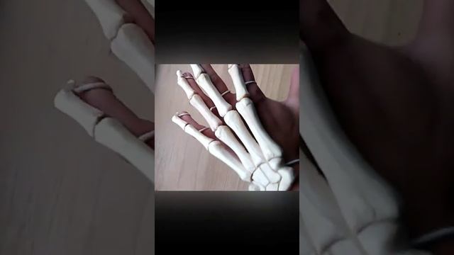 скелет руки #shortvideo#woodwork#bones смотреть онлайн