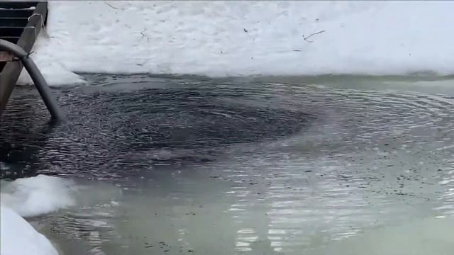 Пруд.Начало весны.Оттепель. смотреть онлайн