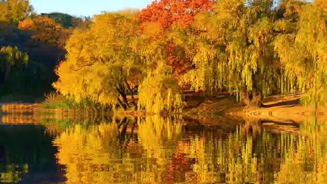 **ОСЕННИЙ РЕЛАКС. СЛУШАЕМ УМИРОТВОРЯЮЩИЕ ЗВУКИ ФЛЕЙТЫ, ПТИЦ И ВОДЫ.** смотреть онлайн