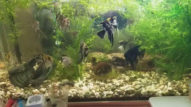 Родители и их подростки и другие производители смотреть онлайн