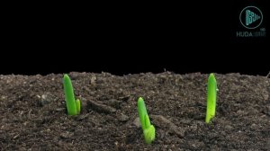 Жалуясь Аллаху... | Дуа на каждый день