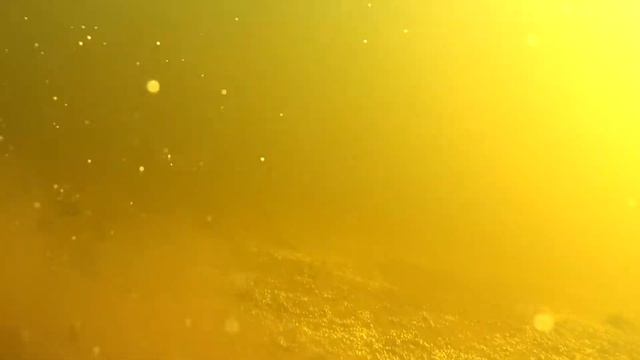 Подводное селфи. Дмитрий Букин. смотреть онлайн