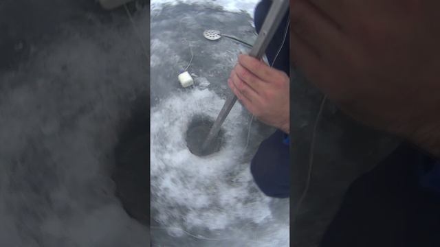 рыбалка! щука в косынку! косынка кормушка! #как #кастинговая #ловля #хапуга смотреть онлайн