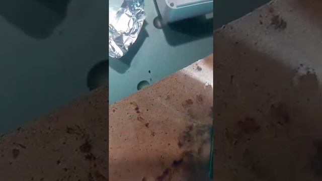 Wi-Fi Mini Smart Switch RMW002 ремонт смотреть онлайн