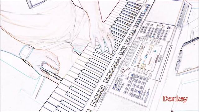 Tales of the moon - Donkey - Yamaha PSR S770 смотреть онлайн