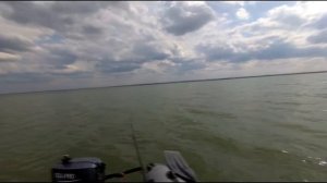 Рыбалка на маныче, Ловля сома на квок, Бешеный окунь