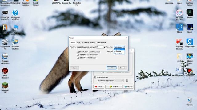 Настройки FastStone Capture, Dxtory, Movavi Screen Capture Studio 8. смотреть онлайн