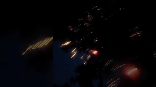 Buck fever firework|day 2 смотреть онлайн