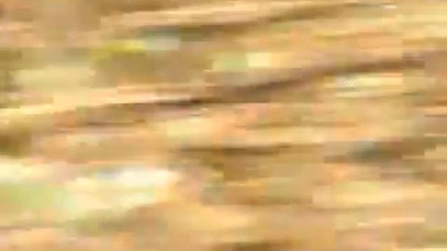 осеннее настроение смотреть онлайн