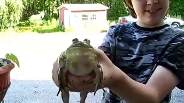 Лягушка плакса смотреть онлайн