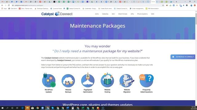 Website Maintenance смотреть онлайн