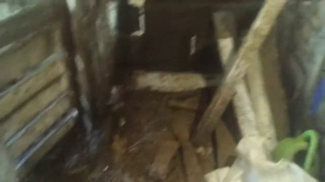 Бизнес на птице, купил 100 кур несушек!!! смотреть онлайн