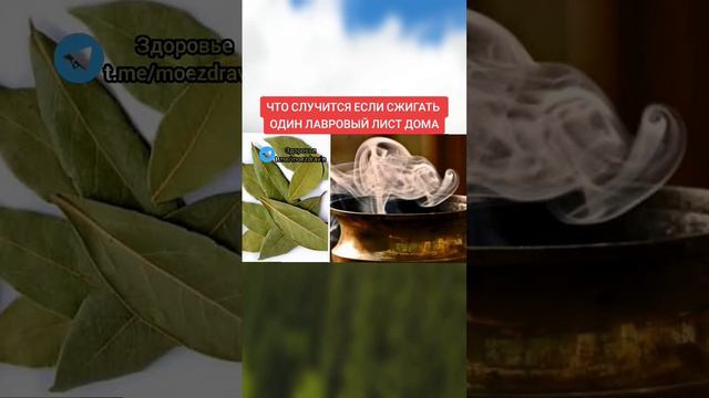 что случится если сжигать один ЛАВРОВЫЙ ЛИСТ ДОМА #здоровье #зож #полезныесоветы #медицина #полезно смотреть онлайн