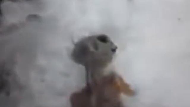 МЁРТВЫЙ ИНОПЛАНЕТЯНИН В ПОС КАМЕНСК БУРЯТИЯ смотреть онлайн