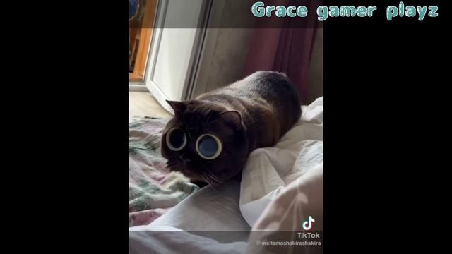 Hashira & Uppermoon React To Muichiro & Tanjiro Vs Hantengu (1/2) ||Demon Slayer||Grace gamer playz смотреть онлайн