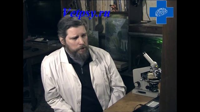 Боязнь петард и громких звуков лечит ветеринарный психолог смотреть онлайн