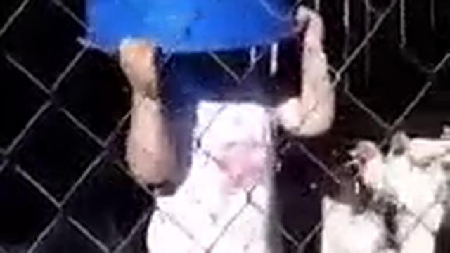 О! Червяк! смотреть онлайн