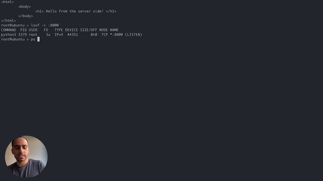 Find the process occupying a specific port in Linux смотреть онлайн