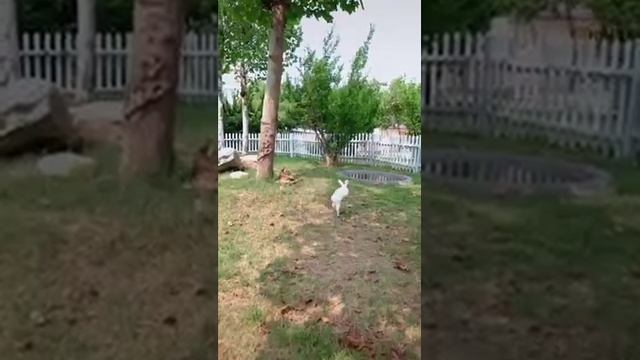 Духом сильный.mp4 смотреть онлайн